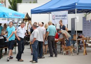 40letooz trzprdomz (21)